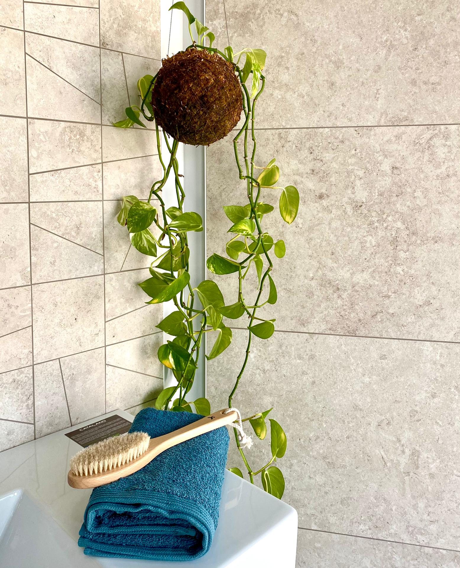 Bathrooms 11 — FINGERPRINT